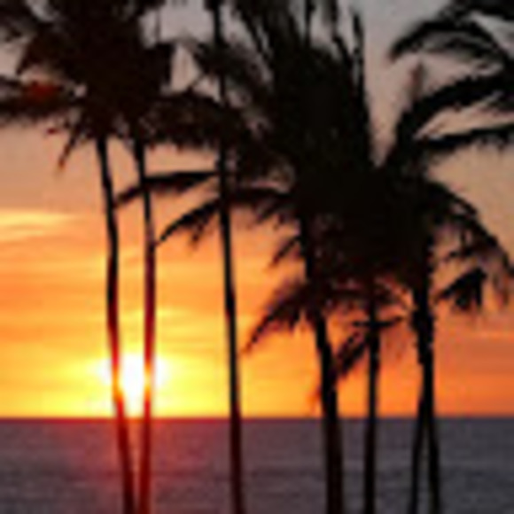 Meet your Posher, Lillian - Picture 1 of 1